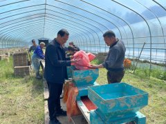 该镇早稻育秧工做正抢抓农时推进